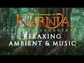 The Chronicles Of Narnia Relaxing Ambient Music William Maytook