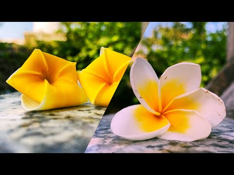 Beautiful ring from chaffee flower #flower #flowers #oldmemories