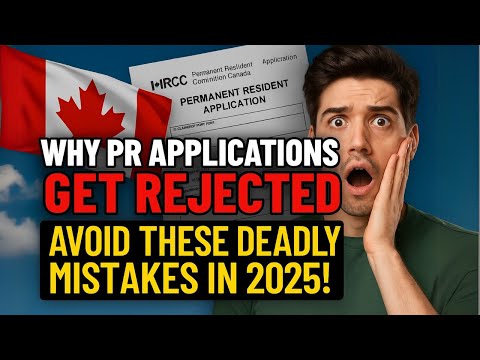 Avoid Cdora License Application Rejection With These Expert Tips