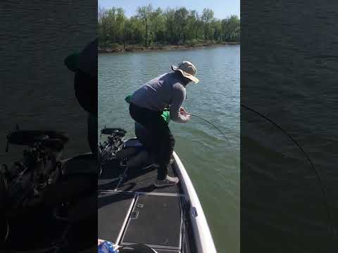 Catastrophic Landing Net Failure