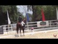 Charlotte Jorst Vitalis 2 Flintridge