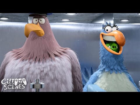 Bathroom Heist Madness 🚽 | The Angry Birds Movie 2
