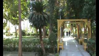 preview picture of video 'Aswan -Egypt - botanic garden'