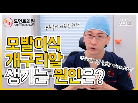 모발이식 개구리알 왜 생기는 걸까? ???? l 김경복원장 l 모먼트의원(MOMENT) l 히든컷