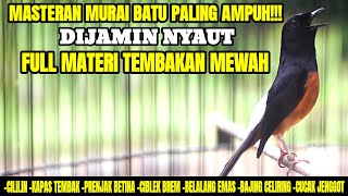 Download lagu MASTERAN PAGI HARI MURAI BATU ISIAN CILILIN KAPAS TEMBAK CUCAK JENGOT CIBLEK PRENJAK BETINA JANGKRIK mp3