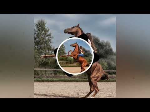 Agito Da Pisada, Bota Pra Torar🎶