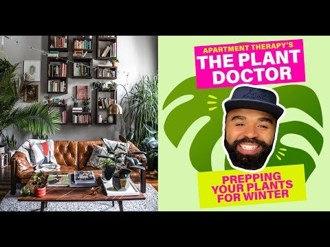 Prepping Your Plants For Winter | The Plant Doctor Video