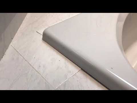 Ant Problem in Shrewsbury, NJ Bathroom