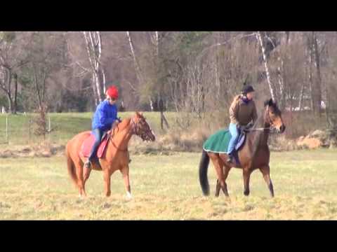 Sport Eagle TV Preview - Honda Race Day at Galopp Riem Race Track, April 14, 2013