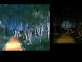 The Wizard Of Oz Munchkin Suicide Vhs Dvd Side By Side