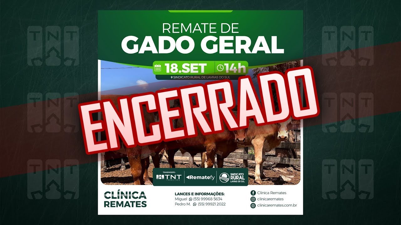 18/09 - Gado Geral Clínica Remates | 14h