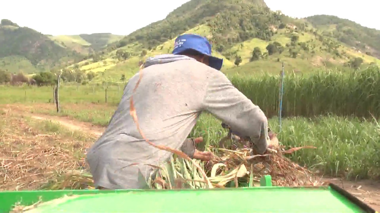 AS - Manejo de pastagem para produção de leite  - bloco 02