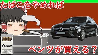 【ゆっくり茶番】れいむと喫煙者