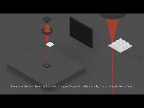 STEM (Scanning Transmission Electron Microscopy)