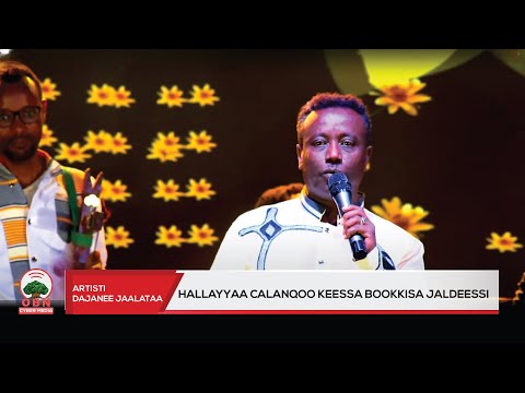 ‘Hallayyaa Calanqoo keessaa bookkisa Jaldeessii’- Artisti Dajanee Jaalataa