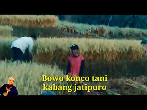 Bowo konco tani (wong ndeso)  official video hp