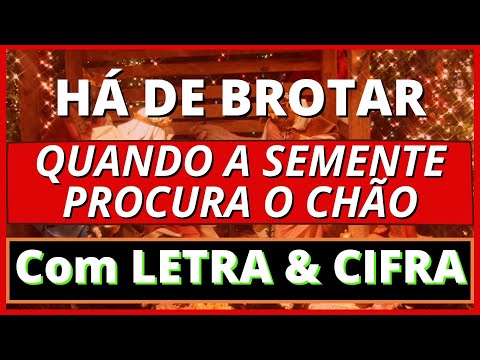 Há De Brotar - José Thomaz Filho