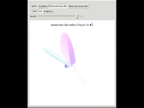 Minimal and Maximal Surfaces Generated by the Holomorphic Function log(z)