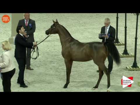 Paris 2016 World Cup - Class CM1 A