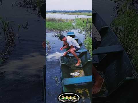 Santa Joana Vitória do Mearim Maranhão #turismonordeste #praiasdonordeste