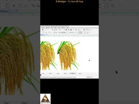 Làm nét ảnh trong coreldraw #shorts