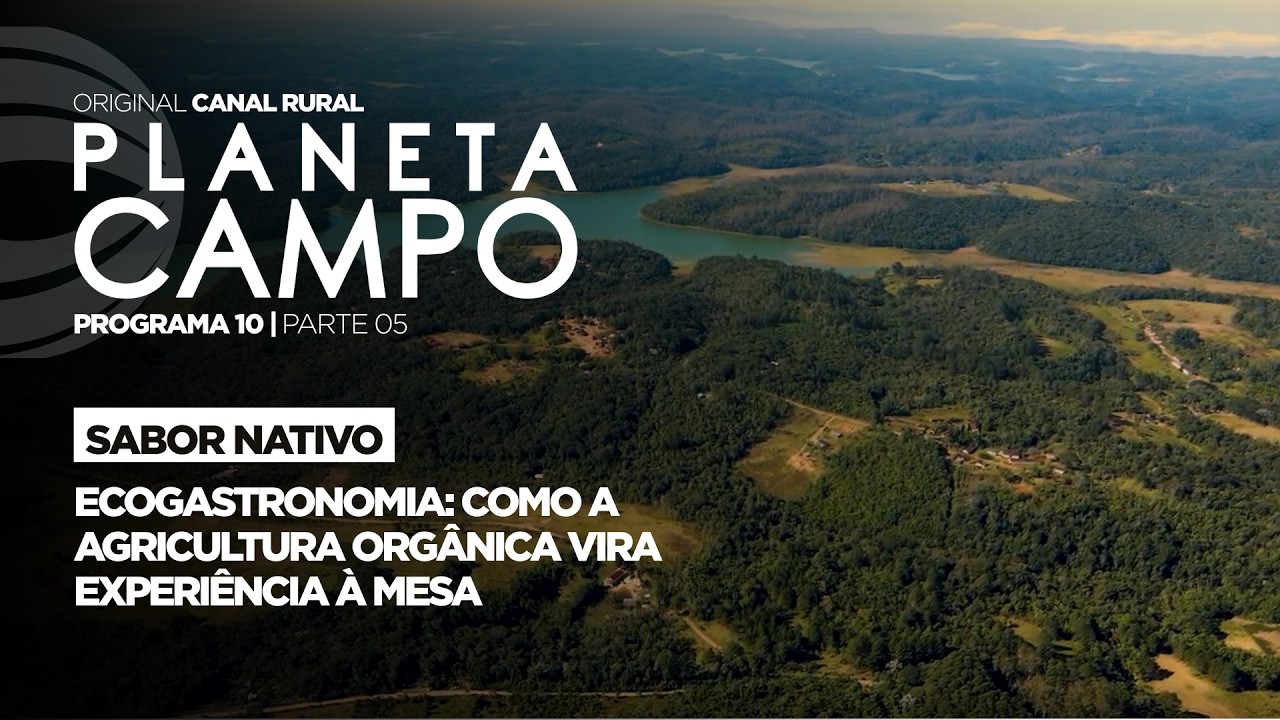 PANCs revolucionam a agricultura em São Paulo | Planeta Campo - ep.10 parte 4