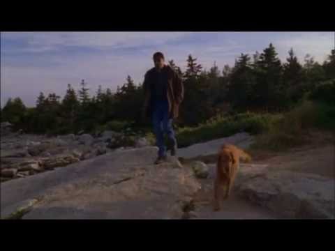 Jesse Stone:  "Loyal Friend"