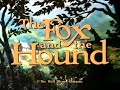 The Fox And The Hound International VHS Trailer 1995 1996 1997