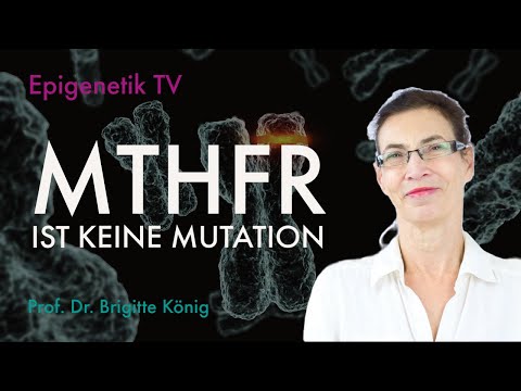 MTHFR ist keine Mutation mit Prof.Dr. Brigitte König