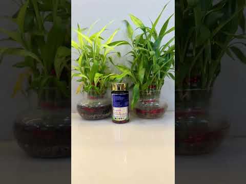 Calcium Citrate Malate + Vitd3 And Folic Acid (Amagen-ccm), 30 tab