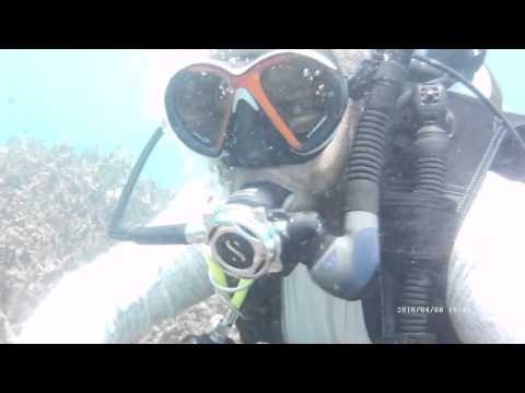 Lots little fish! Scuba diving Trincomalee Sri Lanka Taprobane Divers