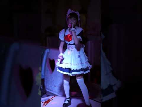 ICE Solo @Maiddreamin x SiamDream 2019 09 18