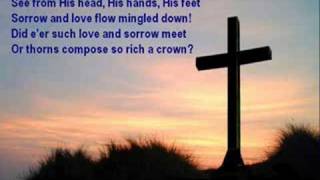 When I Survey The Wondrous Cross - Fernando Ortega