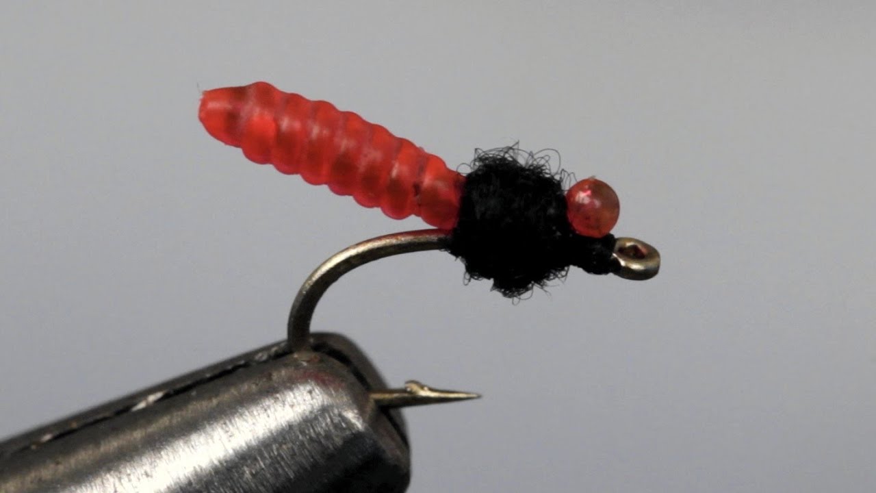 Forget-Me-Knot Midge