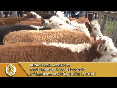 14-06-17 Venta de Hembras - Pedro y Raul Alonso S.A. - Tandil