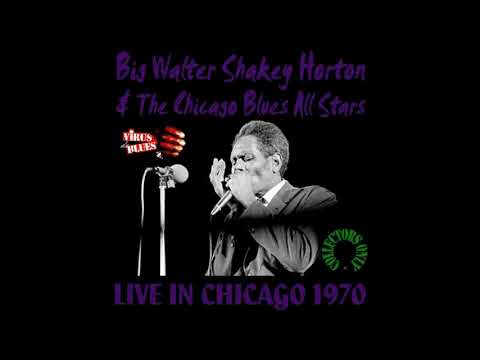 Big Walter Horton  - Live in Chicago 1970