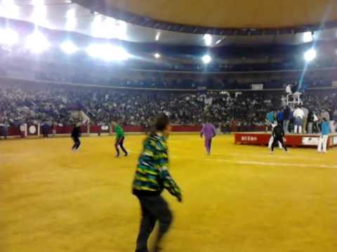 Pilares 2013 vaquillas José luis cuartero