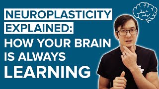 Neuroplasticity Explained: How your Brain is Always Learning