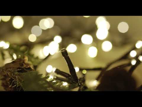 Klyngelys 600 LED - 20% blink