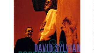 David Sylvian &amp; Robert Fripp ‎– bringing down the light