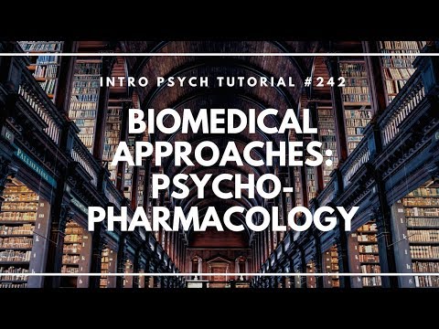 Treatment of Mental Illness Intro Psych Tutorial 239