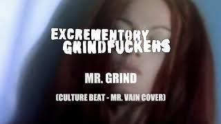 Excrementory Grindfuckers - Mr. Grind [VIDEO] (Culture Beat - Mr Vain grindcore cover)
