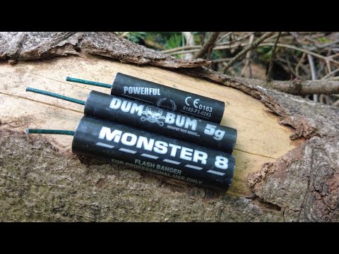 ARPI: Monster 8 | Dum bum 5g | Powerful Bulldog