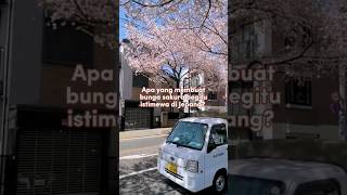 Download lagu Apa Yang Membuat Bunga Sakura Begitu Istimewa di Jepang? mp3