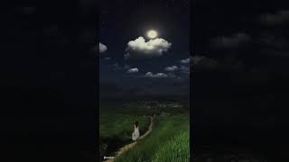 Indila - Love Story Slowed * Short &amp; Lyric &amp; Instrumental &amp; Music