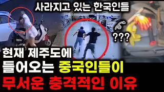 Download lagu The Unbelievable Real Reason Why Jeju Island Has Become a Scary Place | The Shocking Secret Behin... mp3 Download lagu The Unbelievable Real Reason Why Jeju Island Has Become a Scary Place | The Shocking Secret Behin... mp3