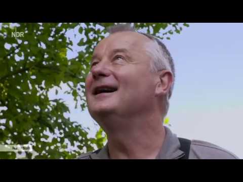 Naturnah - Ein Garten für alle