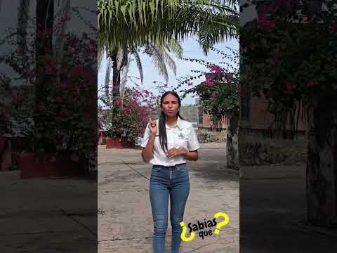 🦟 ¿Sabías que el dengue se puede prevenir desde casa?