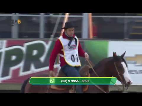 Final Freio de Ouro 2019 - Andaduras/Figura/ VSP/ Esbarradas (Fêmeas e Machos)