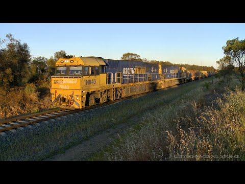 3MA5 Pacific National Container Train (22/10/2019) - PoathTV Australian Railways